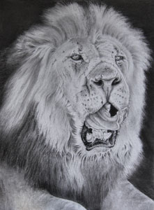 Lion Head