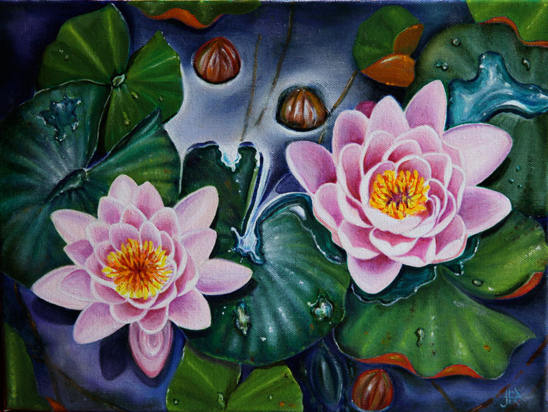 waterlilies