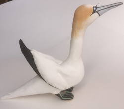 Gannet