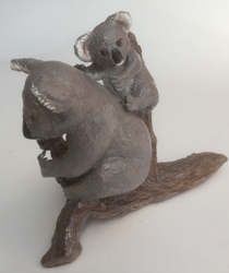 Koalas