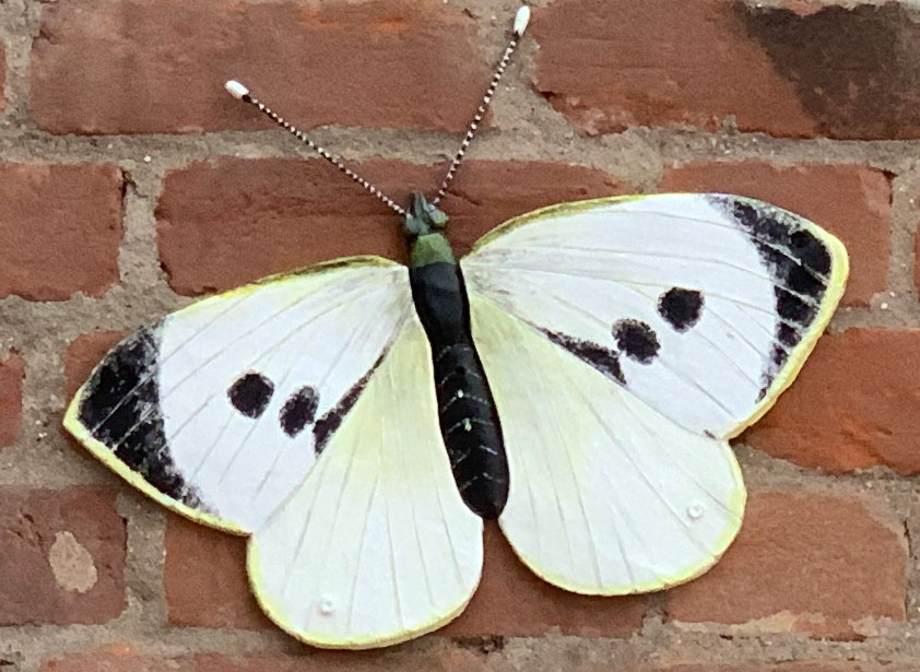 Cabbage White