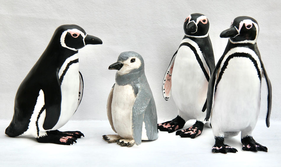 Magellanic Penguins