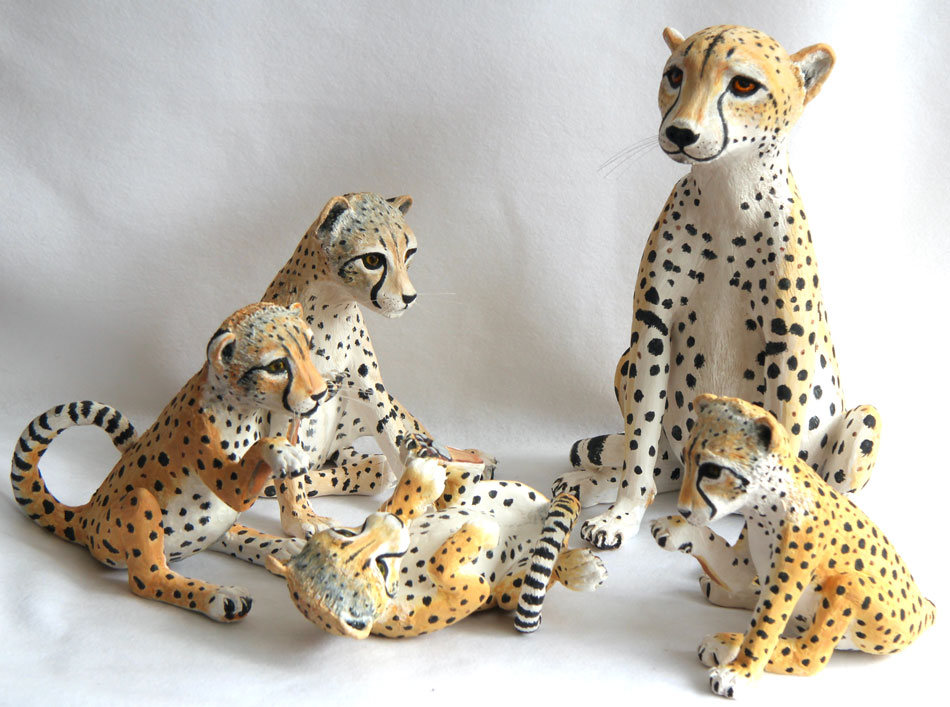 Cheetah Family