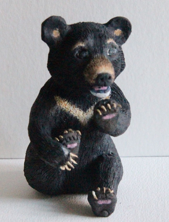 Moon Bear