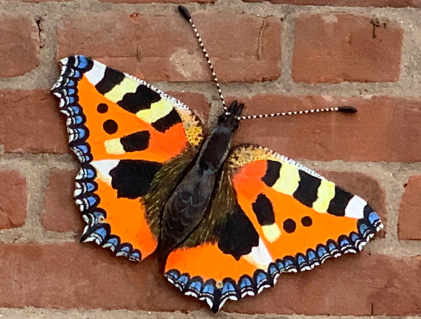 Tortoiseshell