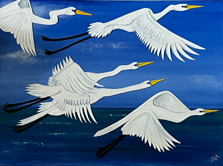 Egrets