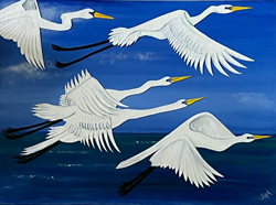 Egrets	