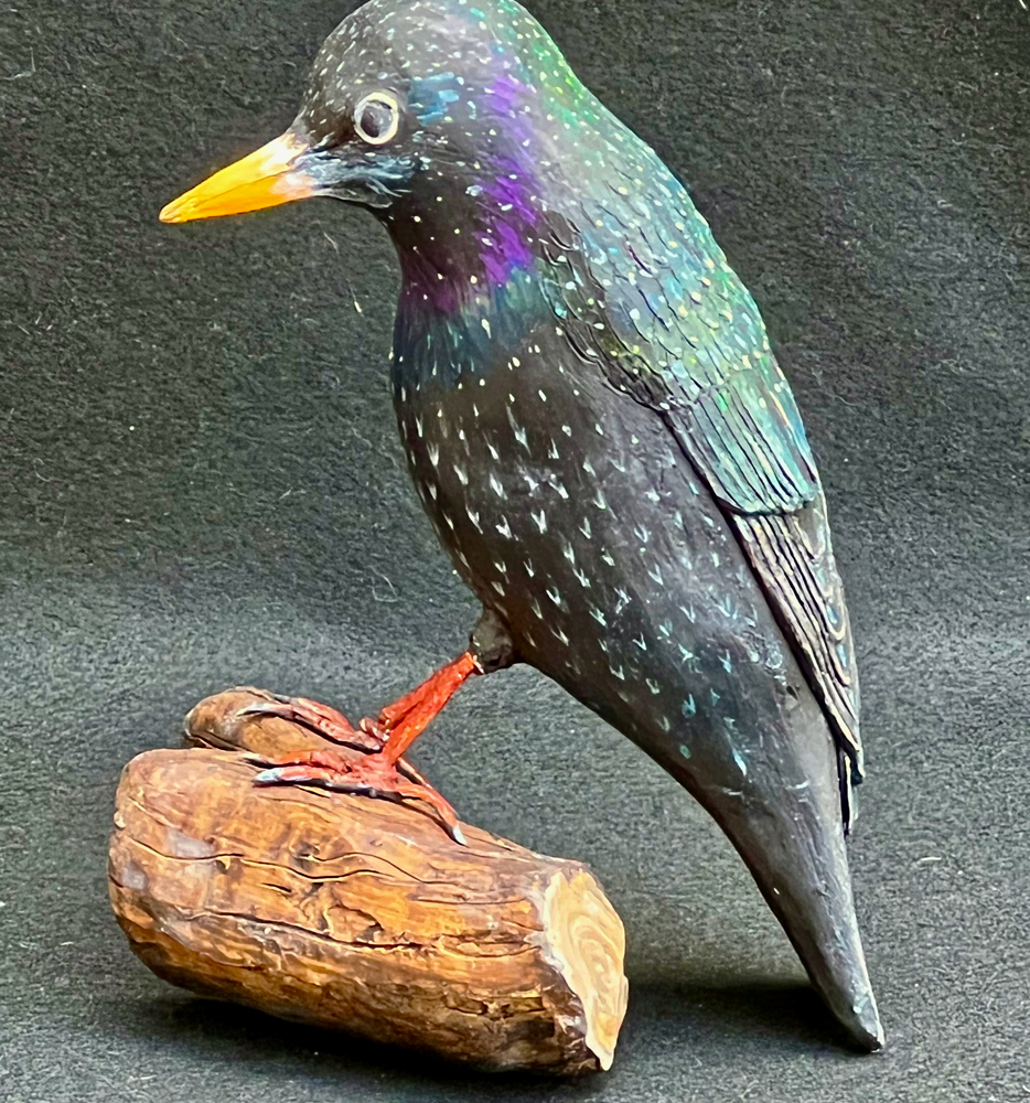 Starling