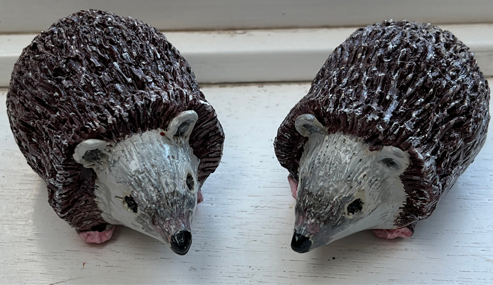 Hedgehogs