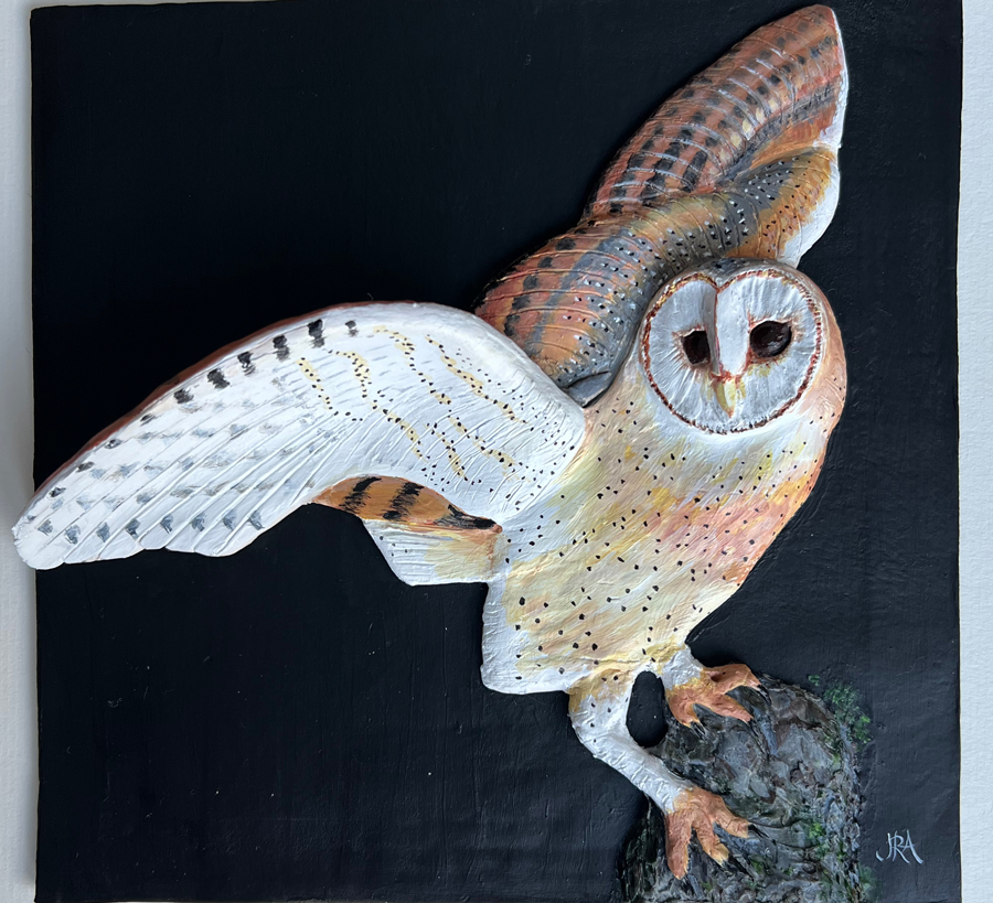 Barn Owl Relief