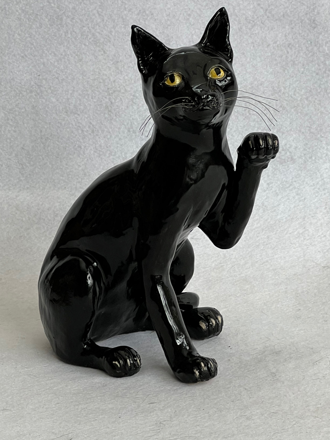 Black Cat