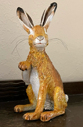 Brown Hare