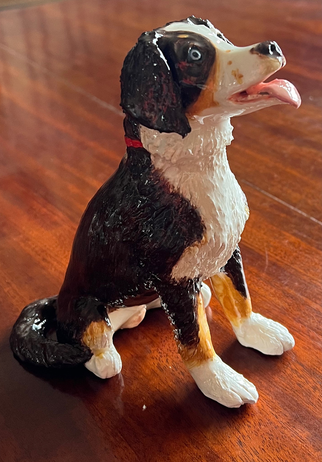 Collie