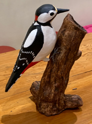 Puffins