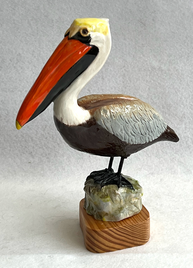 Pelican