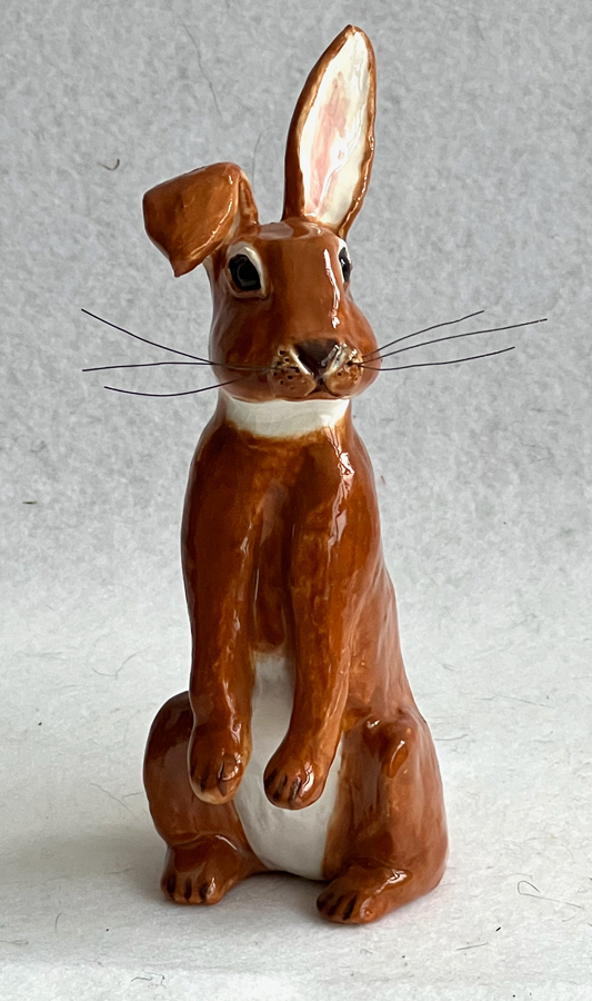 Rabbit