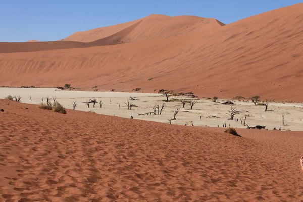 Dead Vlei