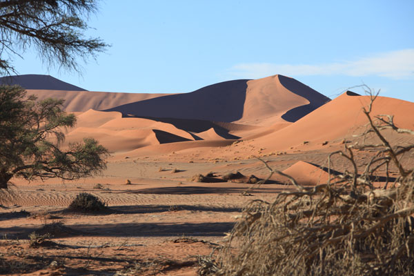 Dunes from Riverbed