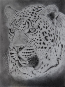 Leopard Head