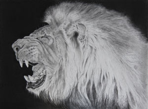 Roaring Lion Head