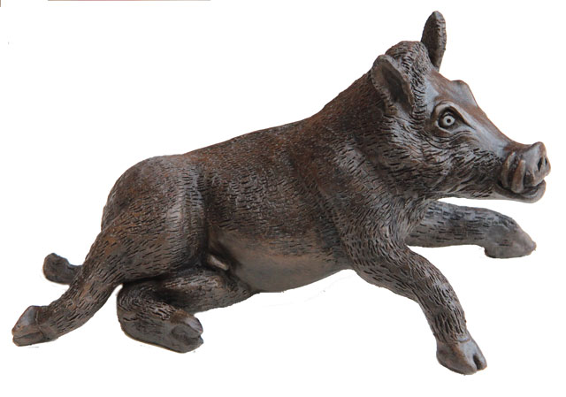 Boar